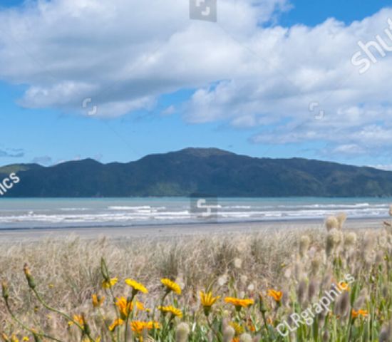 Naturparadies Kapiti Island