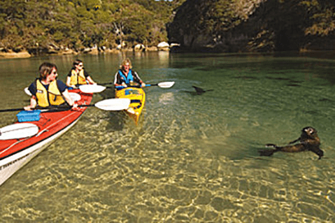 Abel Tasman Nationalpark - paddeln & wandern