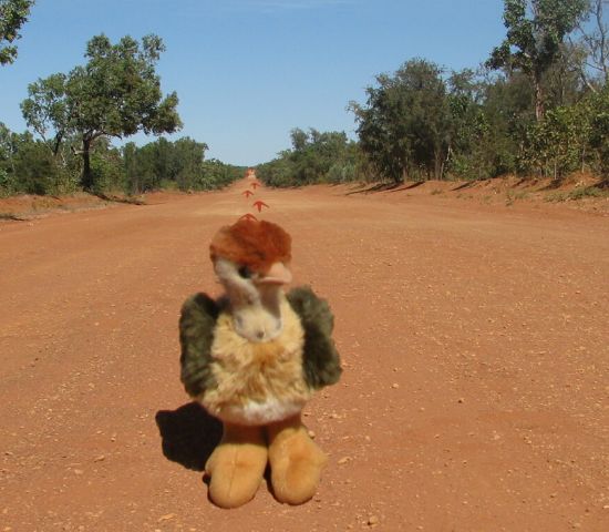 Wir sind EMU Tours - mit uns wird Ihre Tour durch Australien, Neuseeland & die Südsee ein Traum!